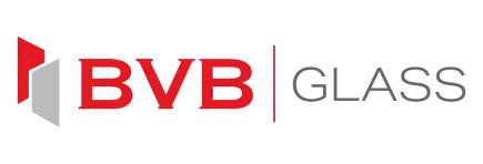 Bvb Right Logo